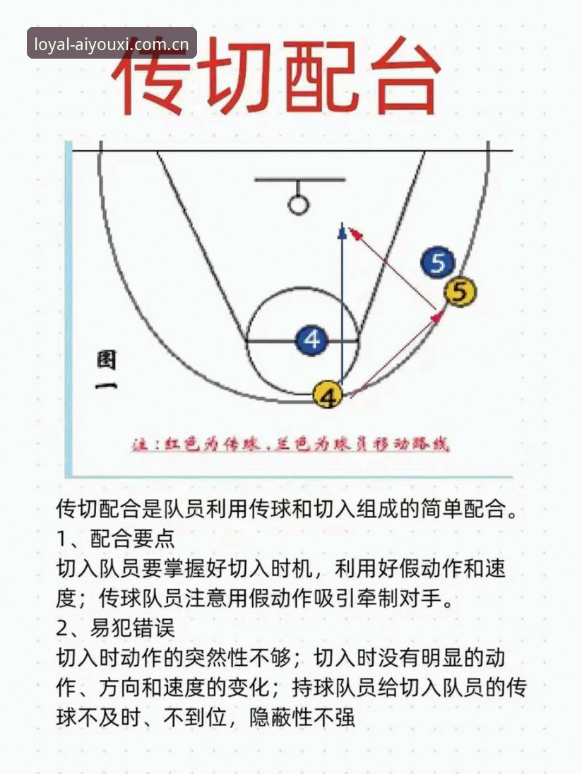 爱游戏体育中国站篮球转会操作教程：从奥格贝德转会看懂欧洲篮球市场
